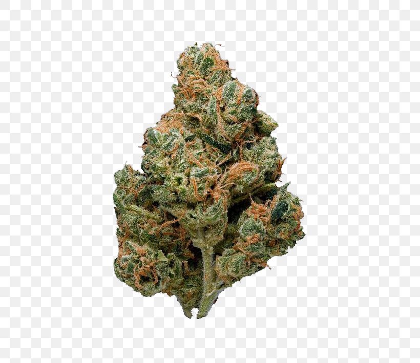 Sour Diesel Kush Cannabis Cup, PNG, 709x709px, Sour Diesel, Beslistnl, Cannabis, Cannabis Cup, Cannabis Sativa Download Free
