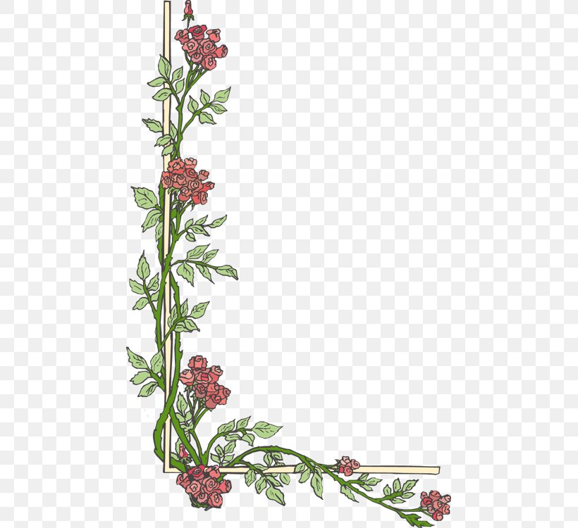 Border Flowers Clip Art, PNG, 461x750px, Border Flowers, Aquifoliaceae, Branch, Cut Flowers, Flora Download Free