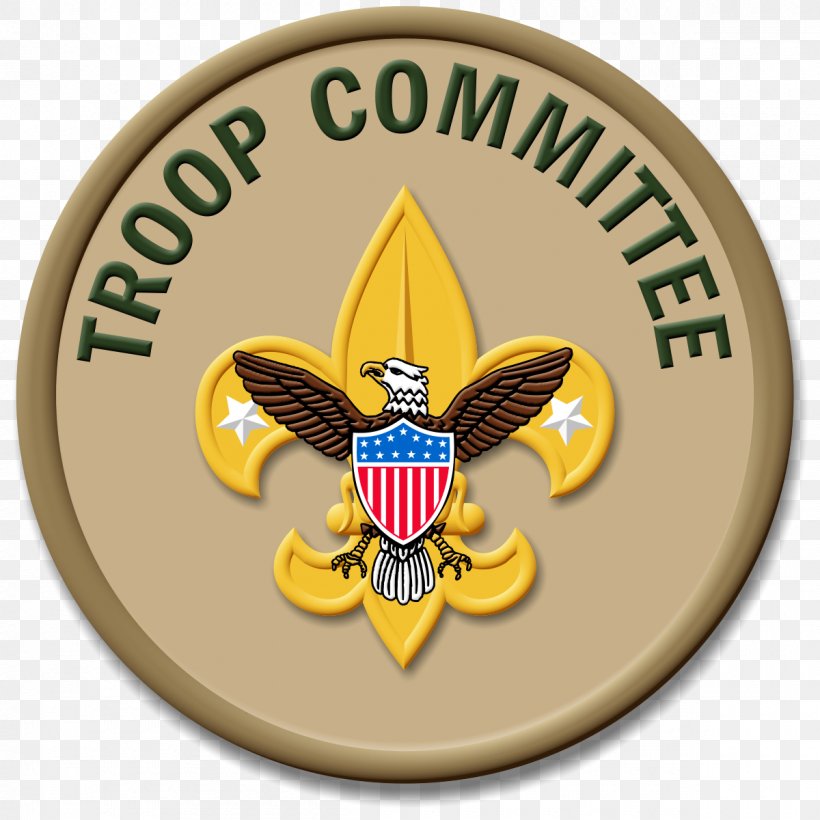 Ranks In The Boy Scouts Of America Eagle Scout Merit Badge Scouting, PNG, 1200x1200px, Ranks In The Boy Scouts Of America, Badge, Boy Scouts Of America, Brand, Court Of Honor Download Free