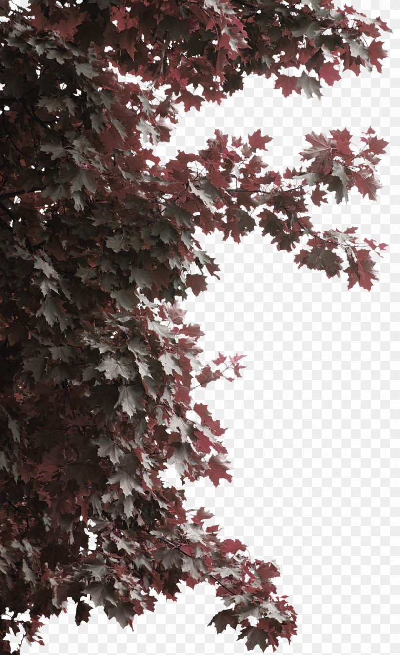 Red Simple Tree Decoration Pattern, PNG, 976x1600px, Caen, Architect, Blossom, Branch, Cherry Blossom Download Free