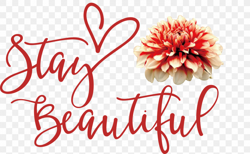 Stay Beautiful Fashion, PNG, 3000x1850px, Stay Beautiful, Biology, Cut Flowers, Fashion, Floral Design Download Free