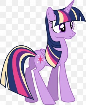 My Little Pony - Twilight Sparkle Rainbow Dash My Little Pony Princess Cadance PNG