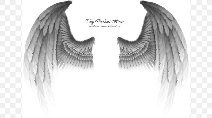 Angel Clip Art, PNG, 650x457px, Angel, Black And White, Devil, Eye, Eyelash Download Free