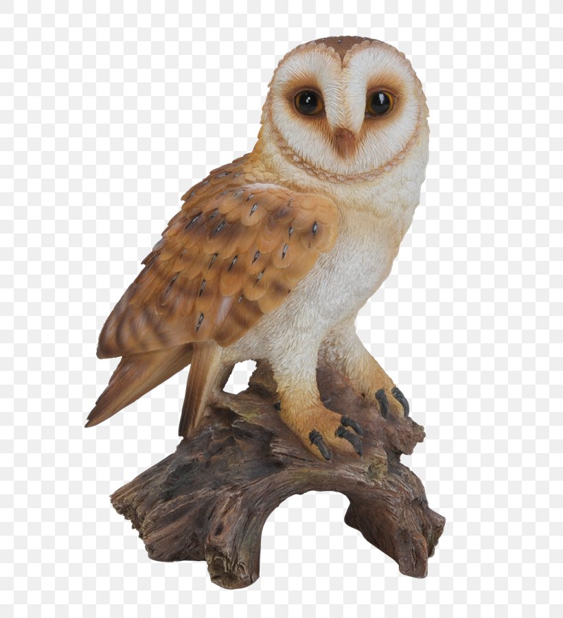 Barn Owl Border Concepts, Inc. Statue Figurine, PNG, 663x900px, Owl, Animal, Barn Owl, Beak, Bird Download Free