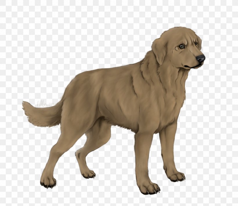 Golden Retriever Labrador Retriever Ancient Dog Breeds Companion Dog, PNG, 900x779px, Golden Retriever, Ancient Dog Breeds, Art, Artist, Breed Download Free