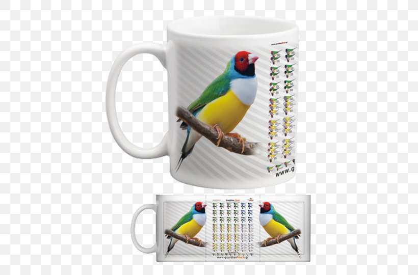 Mug Parakeet Cup Pet, PNG, 500x540px, Mug, Beak, Bird, Common Pet Parakeet, Cup Download Free