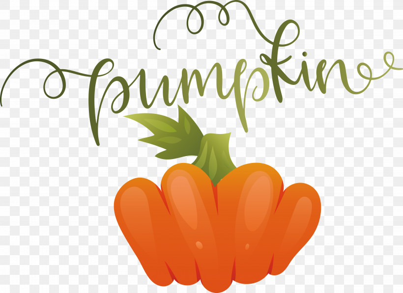 Pumpkin, PNG, 7121x5188px, Pumpkin, Autumn Download Free