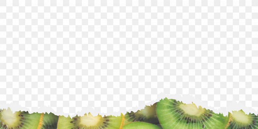 Close-up Person Emoción Frutal Fruit, PNG, 2000x1000px, Closeup, Fruit, Grass, Leaf, Person Download Free