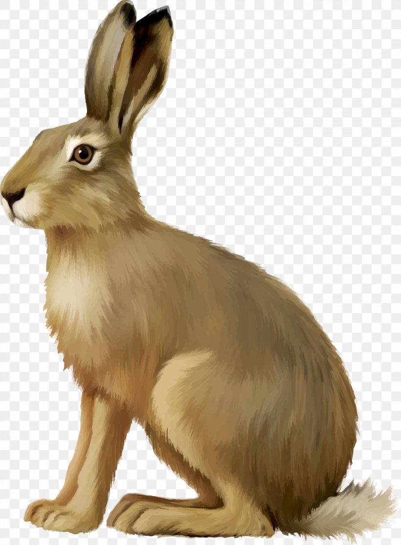 European Hare Easter Bunny Rabbit Clip Art, PNG, 2859x3887px, European Hare, Cottontail Rabbit, Domestic Rabbit, Drawing, Easter Bunny Download Free