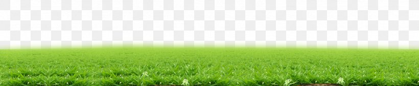 Lawn Wheatgrass Land Lot Energy Wallpaper, PNG, 1628x336px, Lawn, Computer, Energy, Field, Grass Download Free
