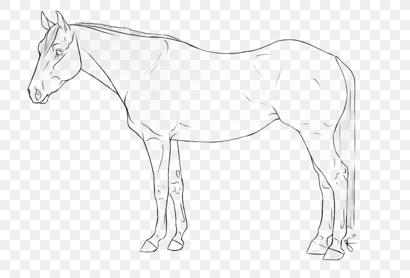 Mustang Foal Colt Stallion Bridle, PNG, 785x556px, Mustang, Animal Figure, Arm, Artwork, Black And White Download Free