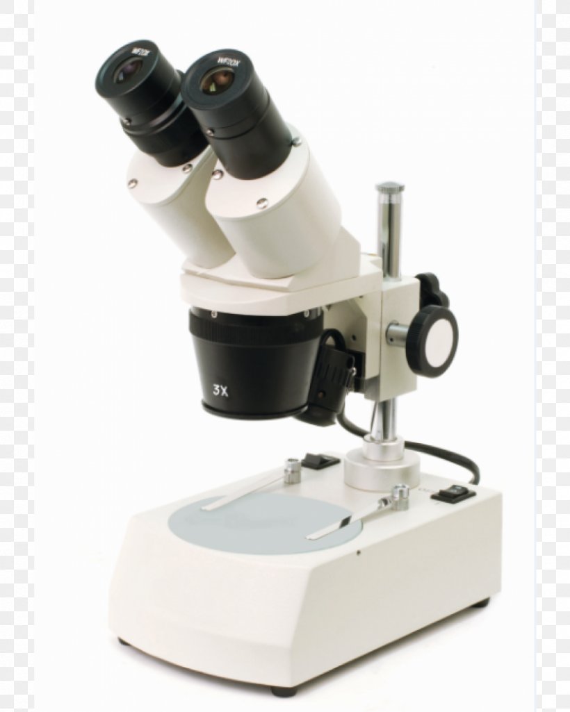 Stereo Microscope Magnification Optics Zoological Specimen, PNG, 1000x1250px, Microscope, Angular Resolution, Binoculars, Eyepiece, Focus Download Free