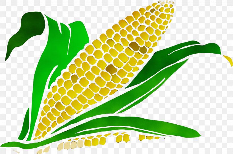 Watercolor Leaf, PNG, 1280x844px, Watercolor, Corn, Corn On The Cob, Food Grain, Leaf Download Free