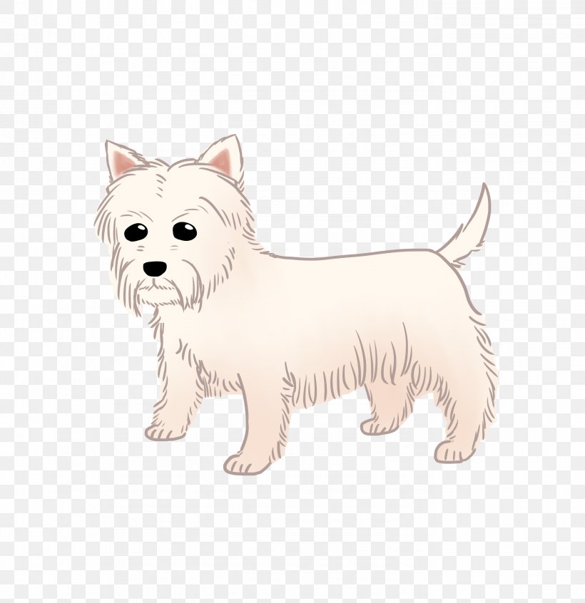 West Highland White Terrier Cairn Terrier Rare Breed (dog) Companion Dog Dog Breed, PNG, 2756x2846px, West Highland White Terrier, Breed, Cairn, Cairn Terrier, Carnivoran Download Free