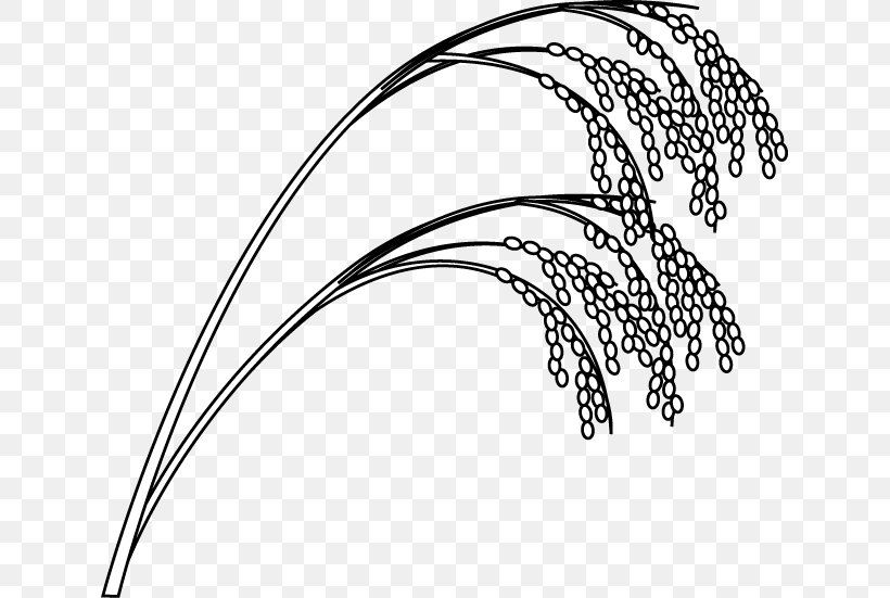 White Rice Cereal Drawing Clip Art, PNG, 634x551px, Rice, Art, Black And White, Black Rice, Body Jewelry Download Free