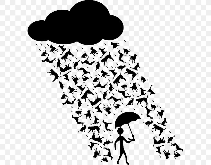 Cats & Dogs Cats & Dogs Rain Mouse, PNG, 605x640px, Dog, Black, Black And White, Branch, Cat Download Free