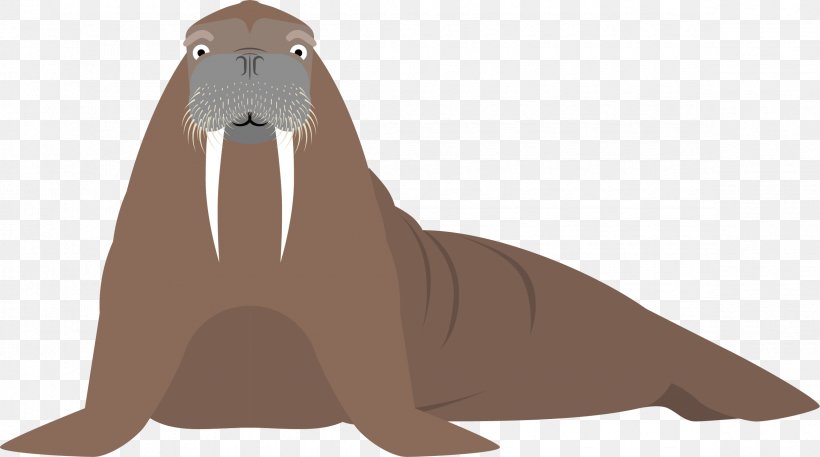 Sea Lion Walrus Cartoon Fauna Illustration, PNG, 2350x1312px, Sea Lion, Carnivoran, Cartoon, Fauna, Lion Download Free