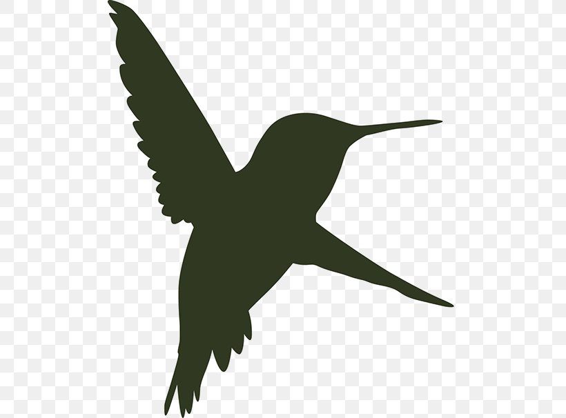 Beak Bird Wing Wildlife Feather, PNG, 507x606px, Beak, Bird, Fauna, Feather, Hummingbird Download Free