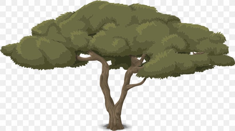 Branch Tree Animaatio Cartoon, PNG, 1280x715px, Branch, Acacia, Animaatio, Art, Cartoon Download Free