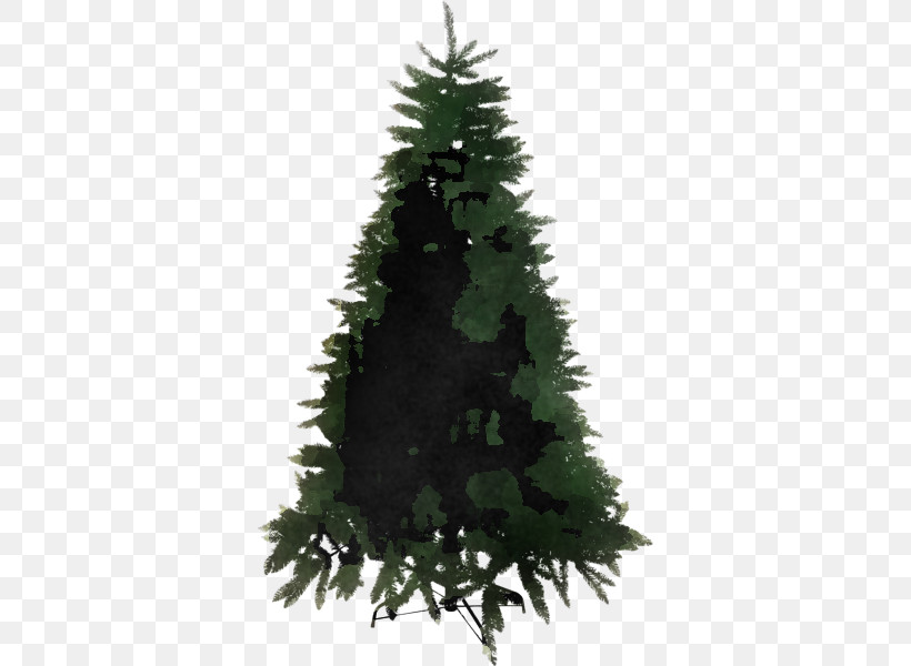 Christmas Tree, PNG, 600x600px, Shortleaf Black Spruce, American Larch, Arizona Cypress, Balsam Fir, Canadian Fir Download Free