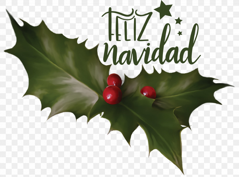 Feliz Navidad Merry Christmas, PNG, 2999x2227px, Feliz Navidad, Aquifoliales, Biology, Fruit, Holly Download Free