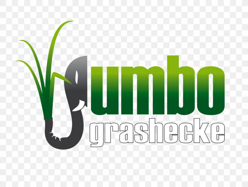Garden Jumbograshecke Napier Grass Horticulture, PNG, 1024x773px, Garden, Brand, Energy, Energy Crop, Grass Download Free