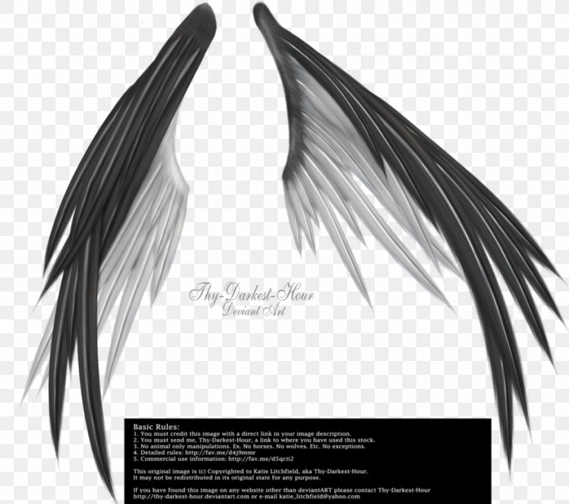 Wing Information, PNG, 949x841px, Wing, Angel, Black And White, Darkest Hour, Deviantart Download Free