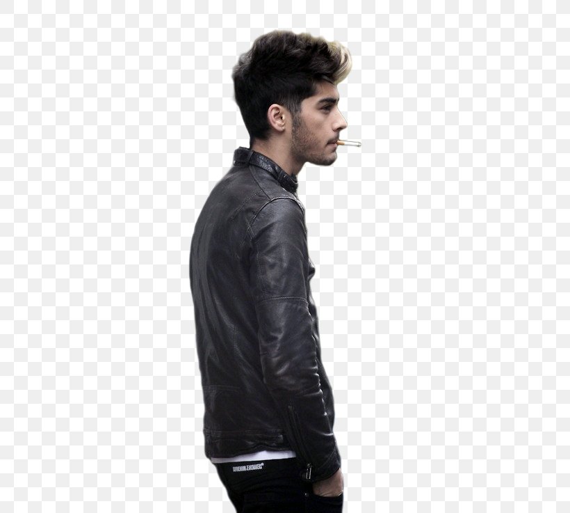 Zayn Malik Clip Art, PNG, 500x737px, Watercolor, Cartoon, Flower, Frame, Heart Download Free