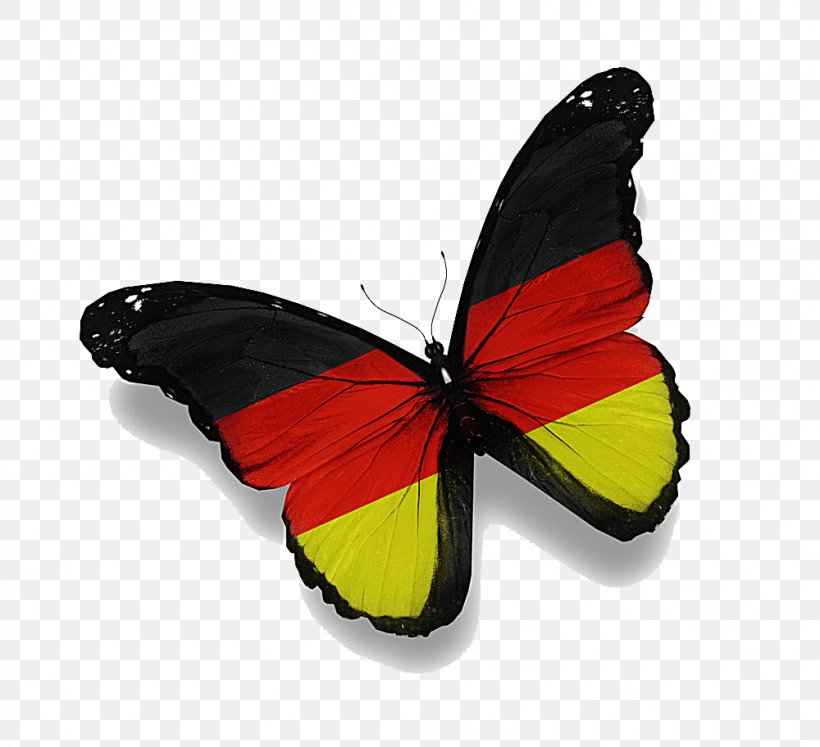 Germany Rio De Janeiro Flag Of Saudi Arabia, PNG, 1000x912px, Germany, Arthropod, Brush Footed Butterfly, Butterfly, Flag Download Free