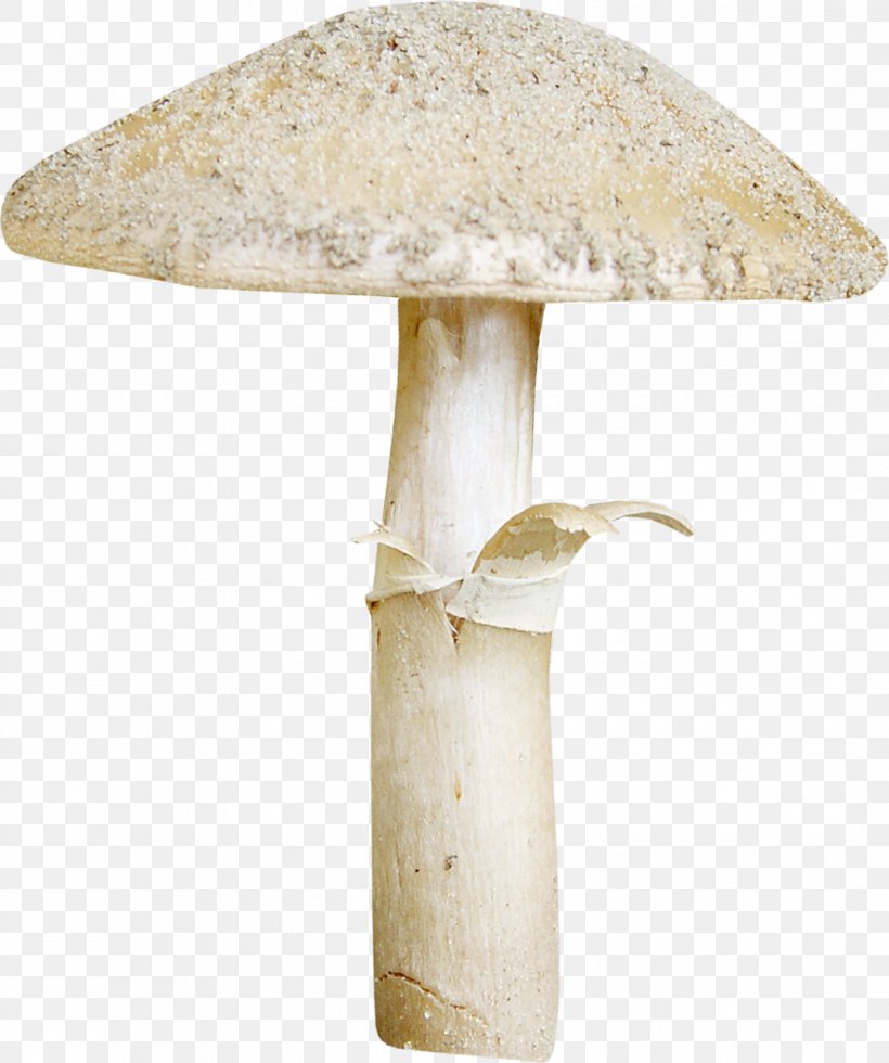 Mushroom Hericium Erinaceus, PNG, 1070x1280px, Mushroom, Dots Per Inch, Hericium Erinaceus, Shiitake, Table Download Free