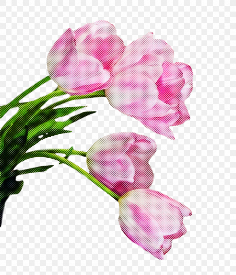 Spring Flower Spring Floral Flowers, PNG, 1100x1278px, Spring Flower, Artificial Flower, Bud, Cut Flowers, Flower Download Free
