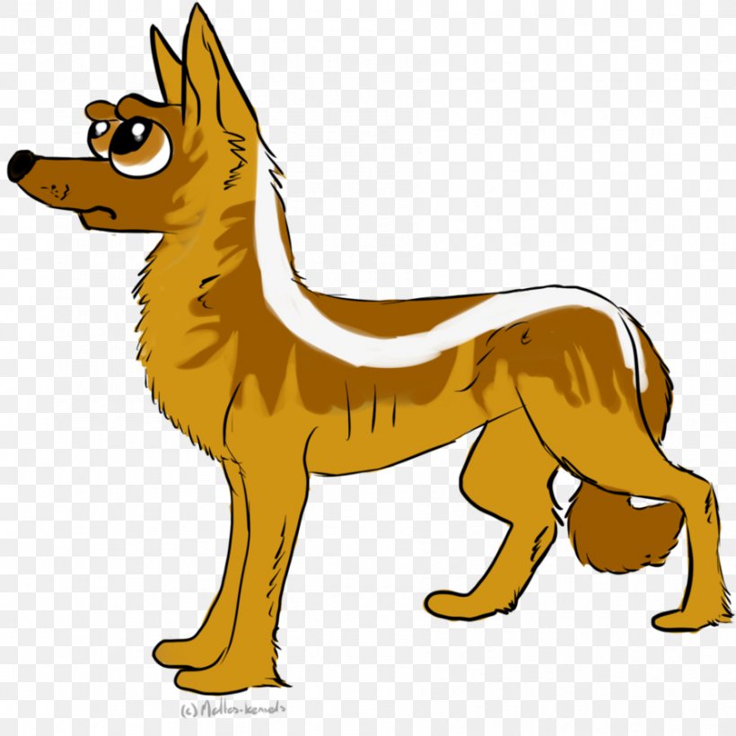 Dog Breed Red Fox Snout Clip Art, PNG, 894x894px, Dog Breed, Breed, Carnivoran, Character, Dog Download Free