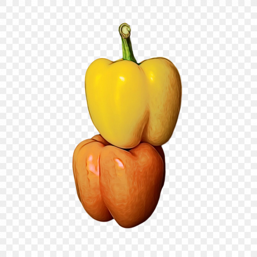 Habanero Squash Yellow Pepper Calabaza Winter Squash, PNG, 1200x1200px, Watercolor, Apple, Bell Pepper, Calabaza, Habanero Download Free
