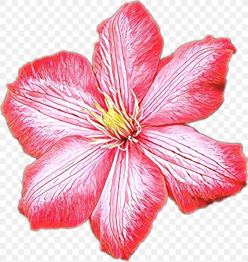 Petal Flower Pink Plant Hawaiian Hibiscus, PNG, 1283x1351px, Cartoon, Clematis, Flower, Flowering Plant, Hawaiian Hibiscus Download Free
