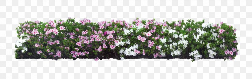 Shrub Flowers Top View Png - Get Images One