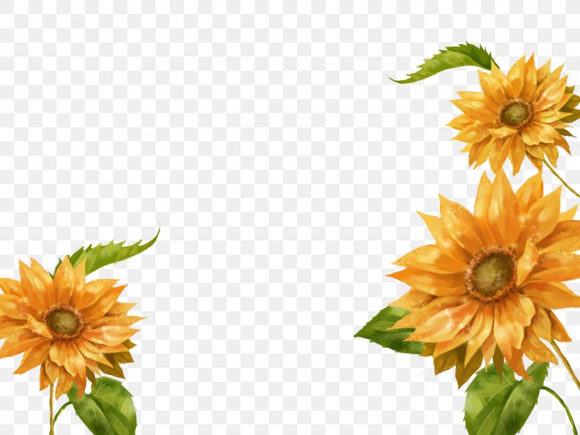 Common Sunflower Software, PNG, 1280x960px, Common Sunflower, Annual Plant, Cut Flowers, Daisy Family, Floral Design Download Free