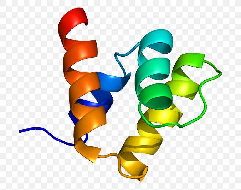 PIAS1 SUMO Protein STAT1 Ubiquitin Ligase, PNG, 744x645px, Protein, Artwork, Dna Ligase, Enzyme, Gene Download Free