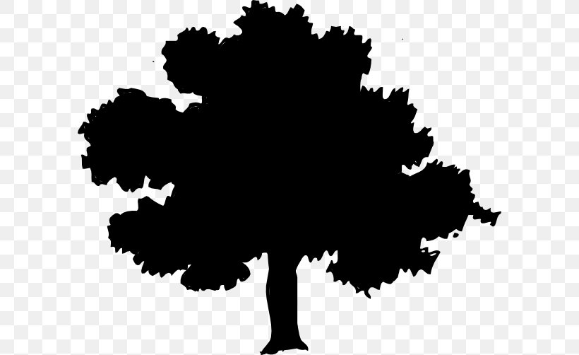 Tree House Garden Beaver Hills, New Haven Oak, PNG, 600x502px, Tree, Arborist, Backyard, Black, Black And White Download Free