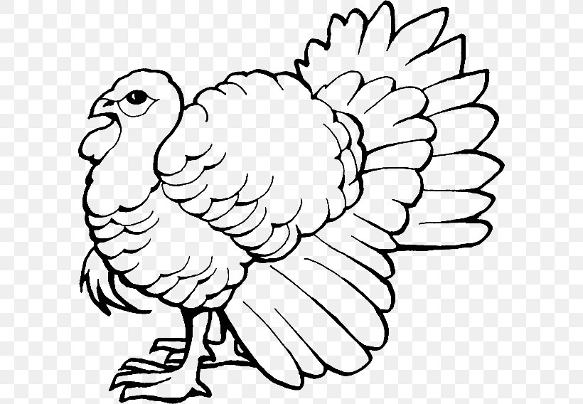 Coloring Book Turkey Drawing Child, PNG, 600x568px, Coloring Book, Adult, Area, Art, Beak Download Free