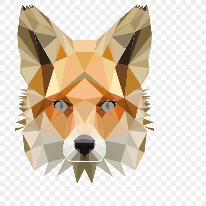 Dog Shiba Inu Fox Snout Swift Fox, PNG, 1134x1134px, Dog, Fox, Shiba Inu, Snout, Swift Fox Download Free