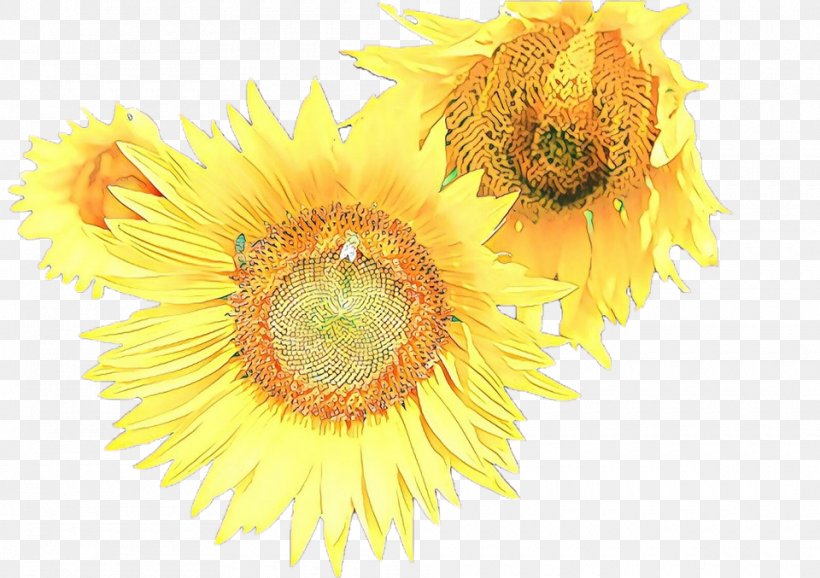 Sunflower, PNG, 960x677px, Cartoon, Cut Flowers, Flower, Flowering Plant, Petal Download Free