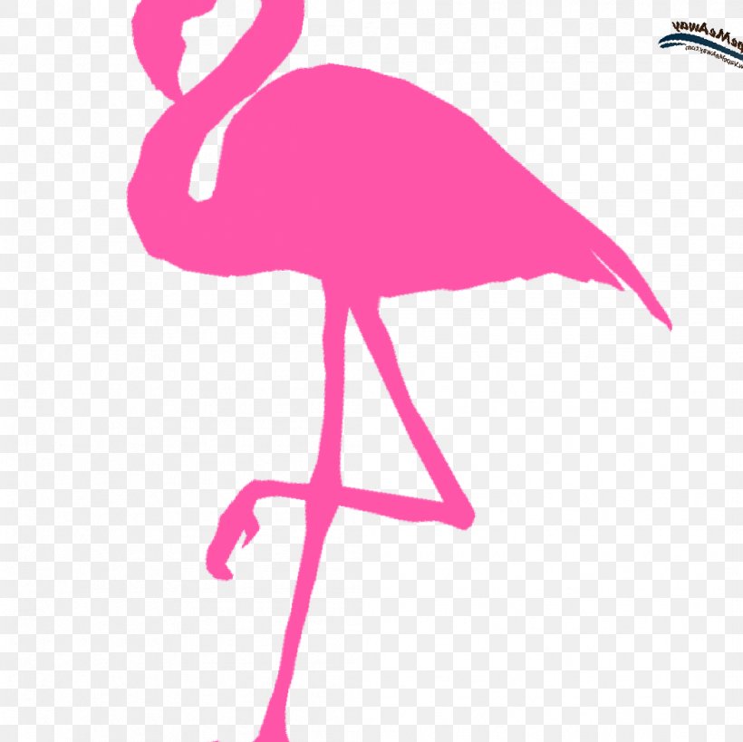 Water Bird Flamingo Vertebrate Pink, PNG, 1047x1046px, Bird, Animal, Beak, Flamingo, Flamingos Download Free