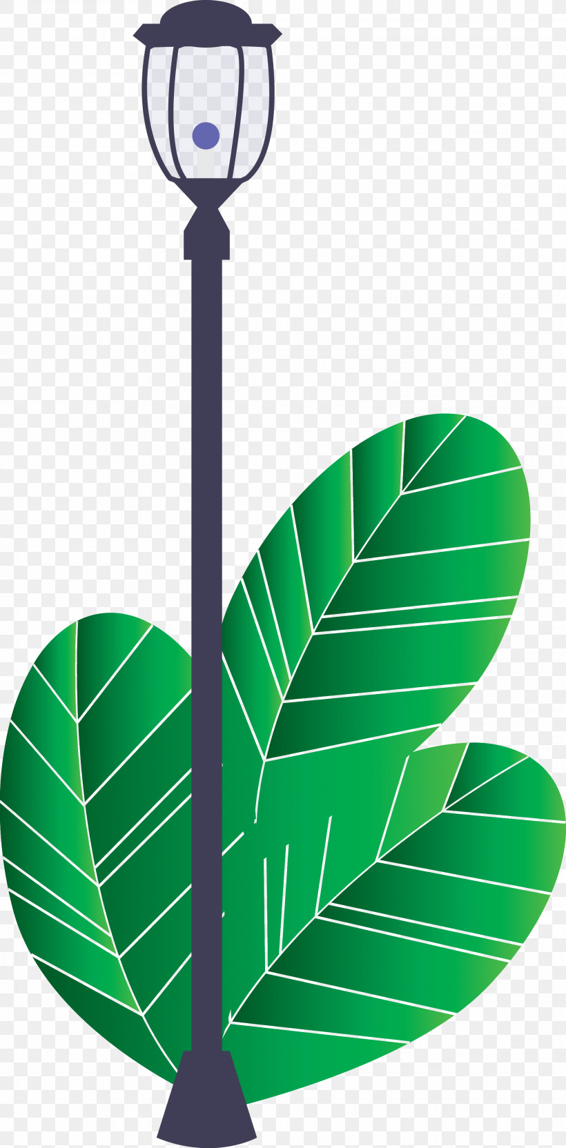 Street Light Tree, PNG, 1969x3998px, Street Light, Green, Leaf, Plant, Tree Download Free