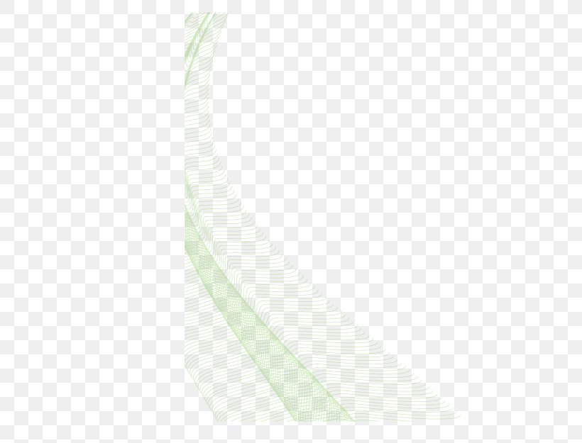 Angle Neck, PNG, 712x625px, Neck, White Download Free