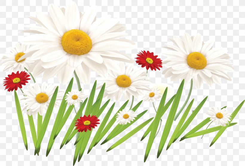 Flower Drawing Color Floral Design Clip Art, PNG, 1200x816px, Flower, Chamaemelum Nobile, Chamomile, Child, Chrysanths Download Free