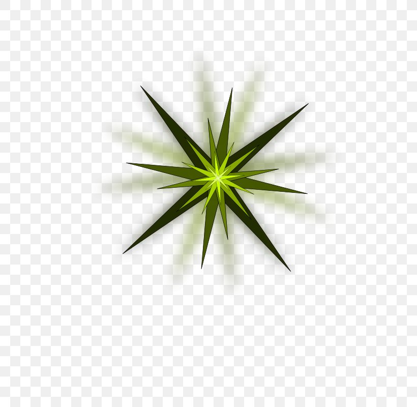 Green Star Color Clip Art, PNG, 566x800px, Green Star, Bluegreen, Color, Grass, Green Download Free