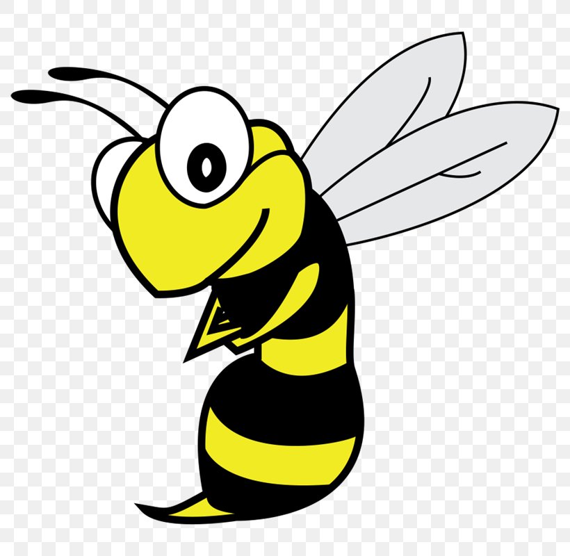 Honey Bee Cartoon White Clip Art, PNG, 800x800px, Honey Bee, Artwork, Beak, Bee, Black Download Free