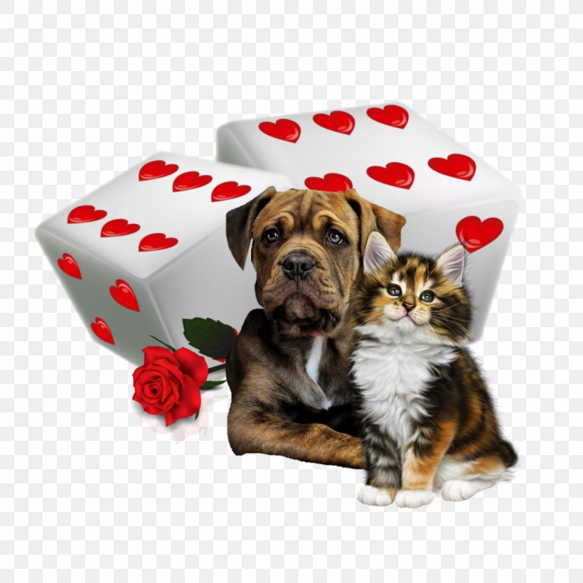 Friendship Day Love Background, PNG, 1080x1080px, Puppy, Blog, Breed, Bulldog, Companion Dog Download Free