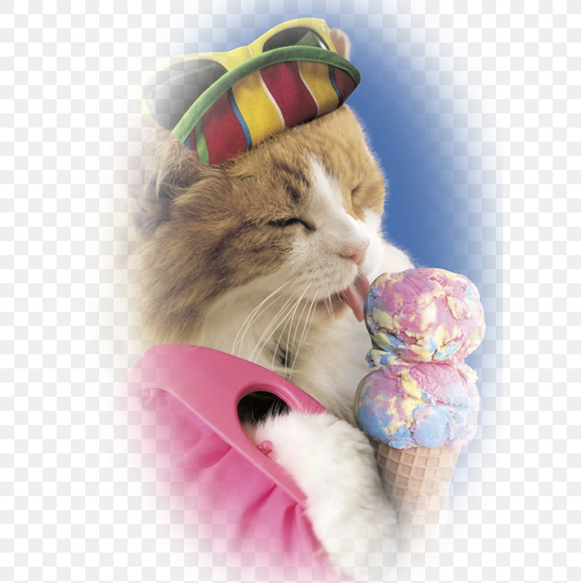 Ice Cream Cones Cat Kitten, PNG, 600x823px, Ice Cream, Cat, Cat Like Mammal, Chocolate Ice Cream, Cream Download Free