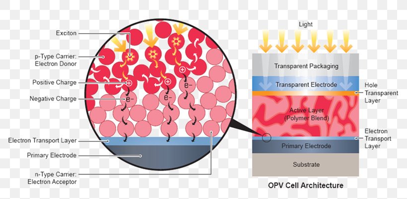 Organic Solar Cell Photovoltaics Polycrystalline Silicon Amorphous Silicon Monocrystalline Silicon, PNG, 800x402px, Watercolor, Cartoon, Flower, Frame, Heart Download Free